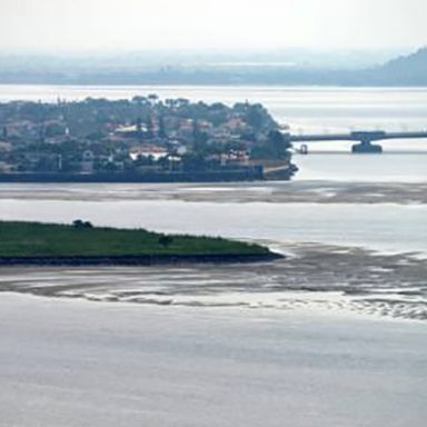 Palmar Dragado